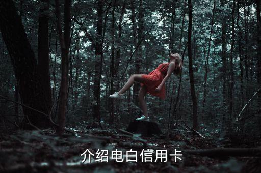 介绍电白信用卡