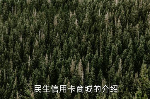 民生信用卡商城的介绍