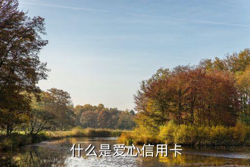 什么是爱心信用卡