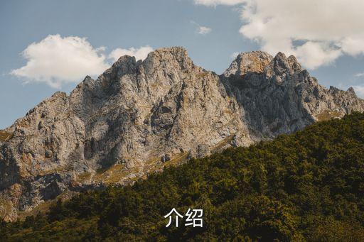 介绍