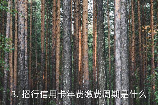 招行信用卡年费周期，招行信用卡年费缴费周期解析