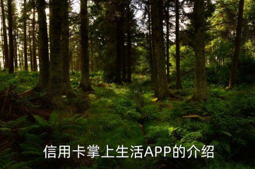 信用卡掌上生活APP的介绍