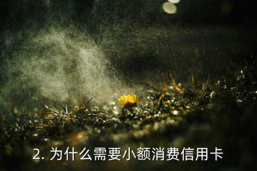 小金额消费信用卡，小额消费信用卡推荐