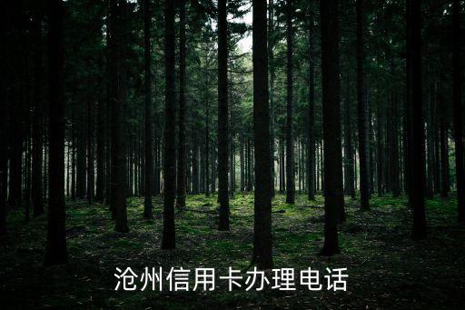 沧州信用卡办理电话