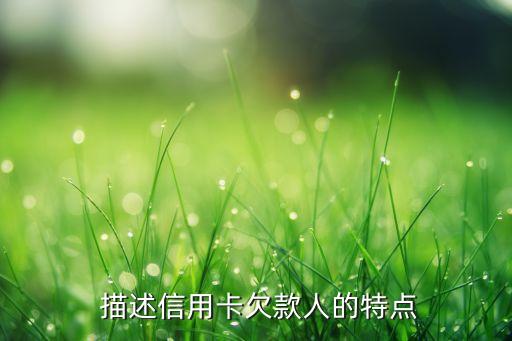描述信用卡欠款人的特点