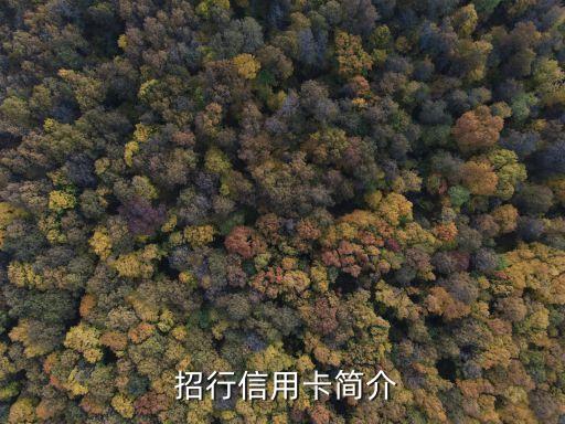 招行信用卡简介