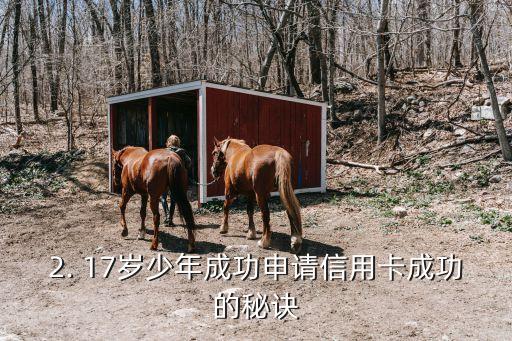 17岁办理信用卡，17岁少年成功申请信用卡