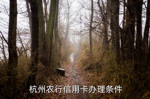 杭州农行信用卡办理条件