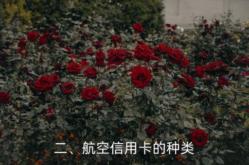 航空信用卡哪个好，哪个航空信用卡最优秀？