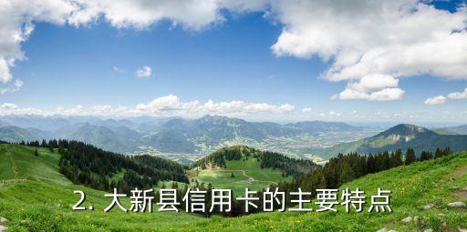 大新县信用卡，大新县推出信用卡，助力消费支付