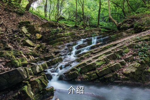 介绍