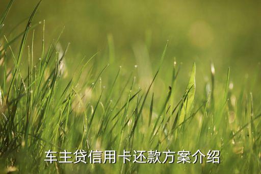 车主贷信用卡还款方案介绍