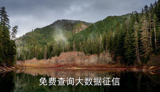免费查询大数据征信