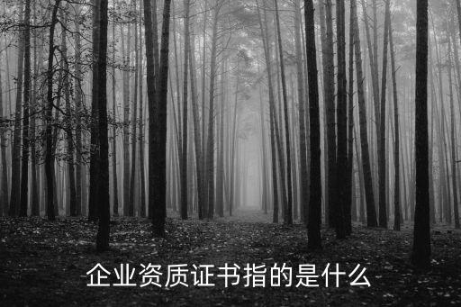 企业资质证书指的是什么