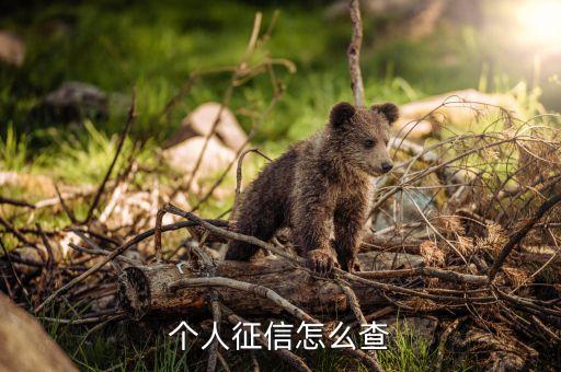 个人征信怎么查