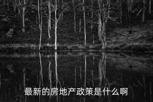最新的房地产政策是什么啊