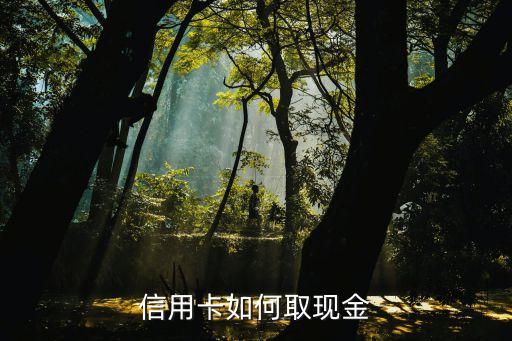 信用卡如何取现金