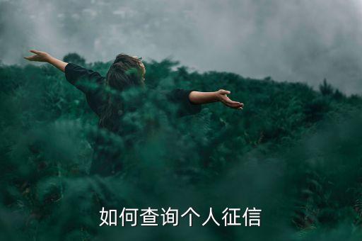 如何查询个人征信