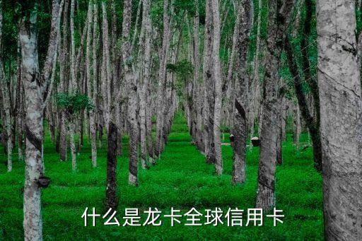 什么是龙卡全球信用卡