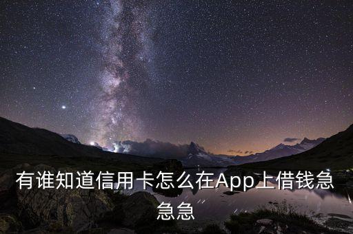 有谁知道信用卡怎么在App上借钱急急急