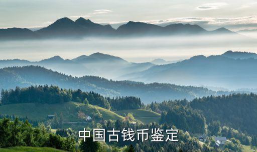 中国古钱币鉴定