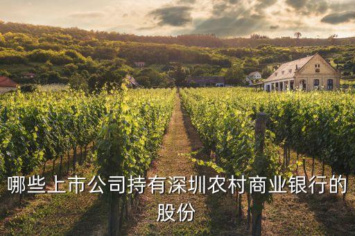哪些上市公司持有深圳农村商业银行的股份