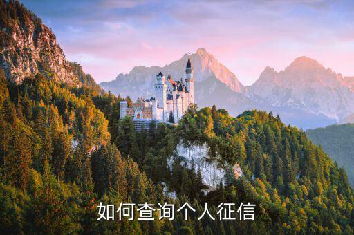 如何查询个人征信