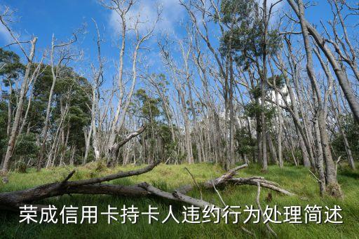荣成信用卡持卡人违约行为处理简述