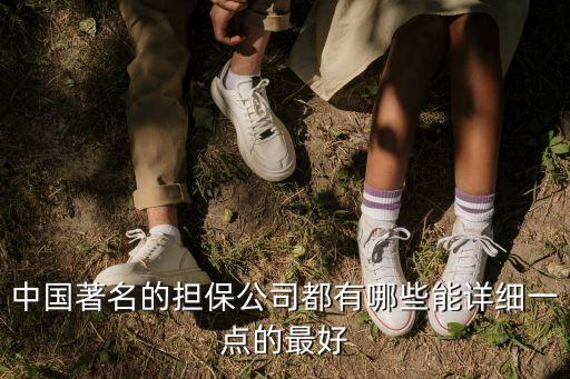 中国著名的担保公司都有哪些能详细一点的最好