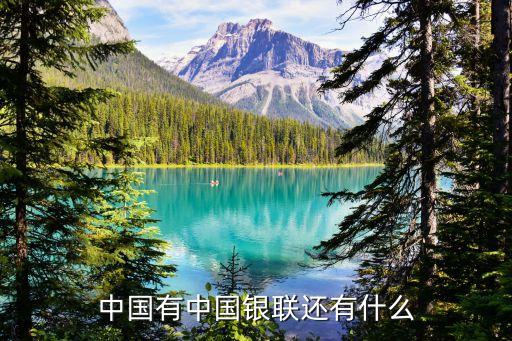 中国有中国银联还有什么