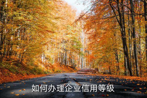 公司信用等级码怎么弄，如何办理机构信用代码证