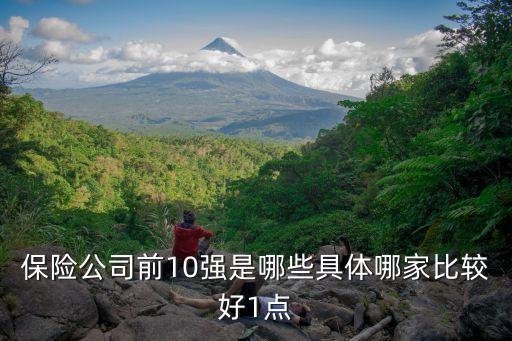 保险公司信用评级排名前十，国内哪个保险公司信用等级高服务质量好