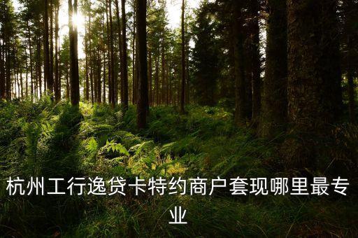 杭州工行逸贷卡特约商户套现哪里最专业