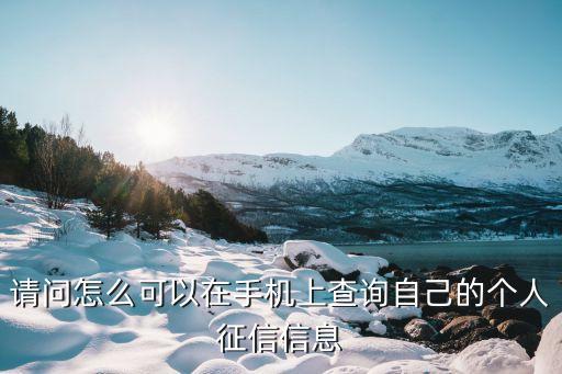 央行征信中心app，中国人民银行征信中心官网在手机上哪个软件能打开