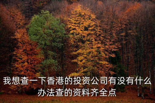 我想查一下香港的投资公司有没有什么办法查的资料齐全点
