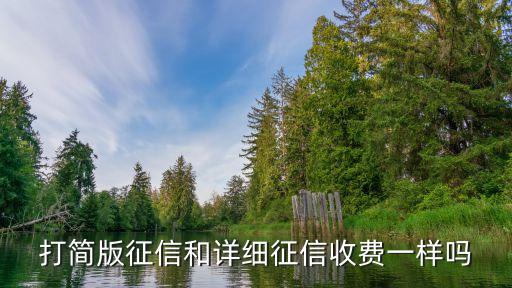 详细版征信，谁能给我详细介绍一下个人征信