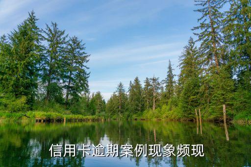 信用卡逾期案例现象频现