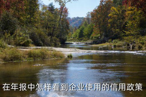 在年报中怎样看到企业使用的信用政策