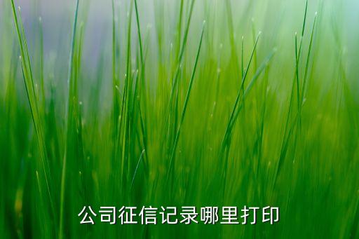 公司征信记录哪里打印