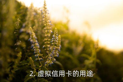 虚拟信用卡的用途，虚拟信用卡的使用场景