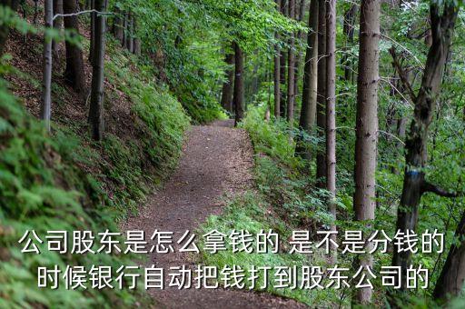 信用卡如何给公司分红，公司股东是怎么拿钱的 是不是分钱的时候银行自动把钱打到股东公司的