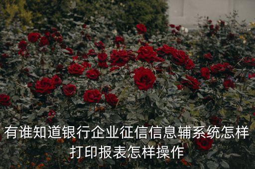 有谁知道银行企业征信信息辅系统怎样打印报表怎样操作