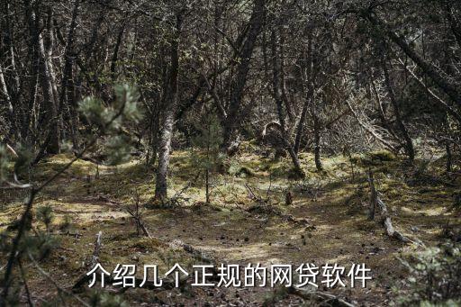 介绍几个正规的网贷软件