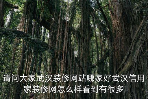请问大家武汉装修网站哪家好武汉信用家装修网怎么样看到有很多