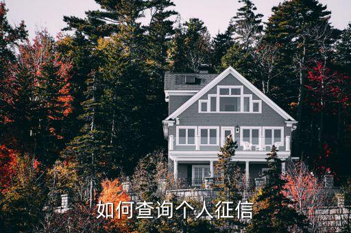 中国征信官网登录，如何查询个人征信