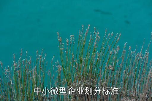 中小微型企业划分标准