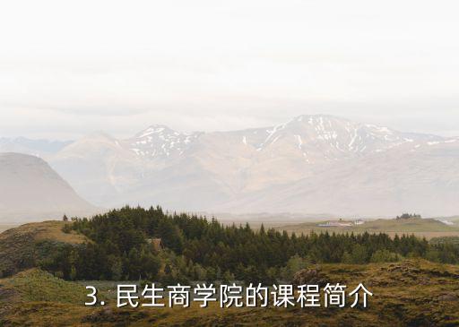 民生商学院，民生商学院的学习路径和课程简介