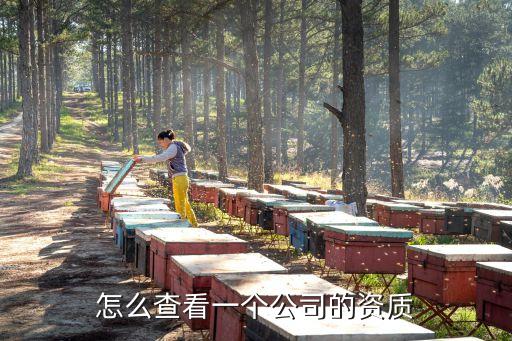 怎么查看一个公司的资质