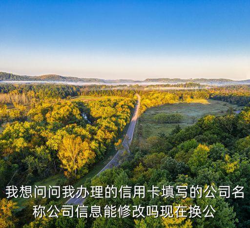 我想问问我办理的信用卡填写的公司名称公司信息能修改吗现在换公