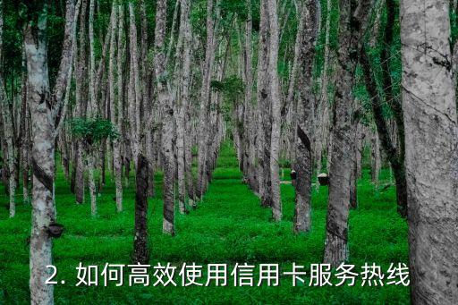 畅刷信用卡电话，如何高效使用信用卡服务热线？